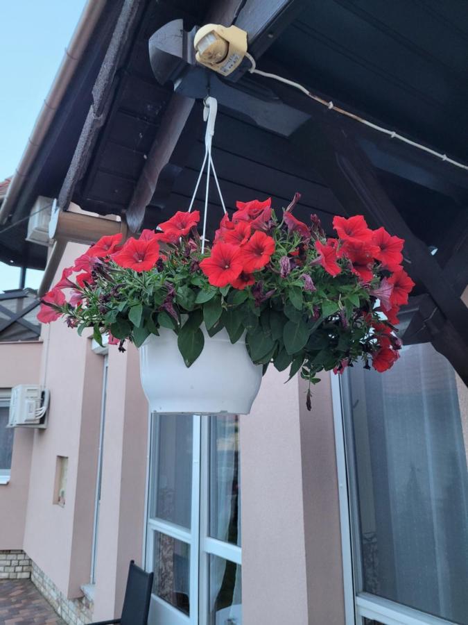 Hotel Anda Vendeghaz Harkány Zewnętrze zdjęcie