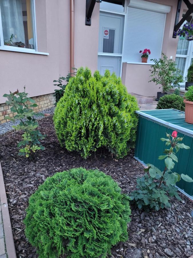Hotel Anda Vendeghaz Harkány Zewnętrze zdjęcie